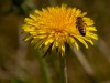 20260620-_DSC7813