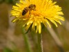 20260620-_DSC7816
