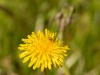 20260620-_DSC7861