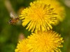 20260620-_DSC7884