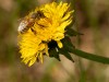 20260620-_DSC7900