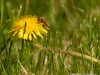 20260620-_DSC7904