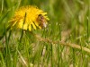 20260620-_DSC7915