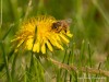 20260620-_DSC7935