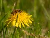 20260620-_DSC7953