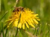 20260620-_DSC7954