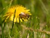 20260620-_DSC7959