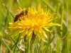 20260620-_DSC7969