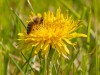 20260620-_DSC7970