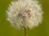 20260620-_DSC7982