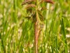 20260620-_DSC7989