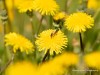 20260620-_DSC8008