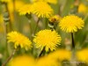 20260620-_DSC8022