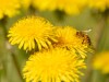 20260620-_DSC8029