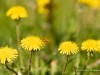 20260620-_DSC8051