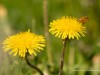 20260620-_DSC8055