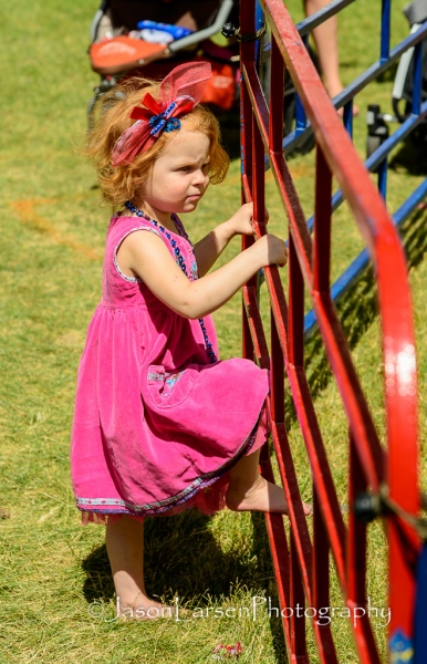 20140628DSC_7899