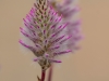 20140628DSC_7892