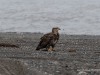 20250405-_DSC1681