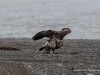 20250405-_DSC1690