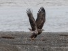 20250405-_DSC1691