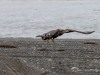 20250405-_DSC1692