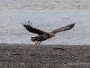 20250405-_DSC1694