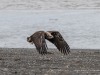 20250405-_DSC1695