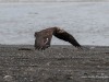 20250405-_DSC1697