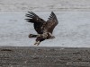 20250405-_DSC1698