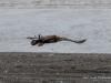 20250405-_DSC1699