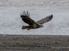 20250405-_DSC1701