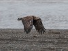 20250405-_DSC1702