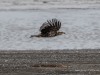 20250405-_DSC1709