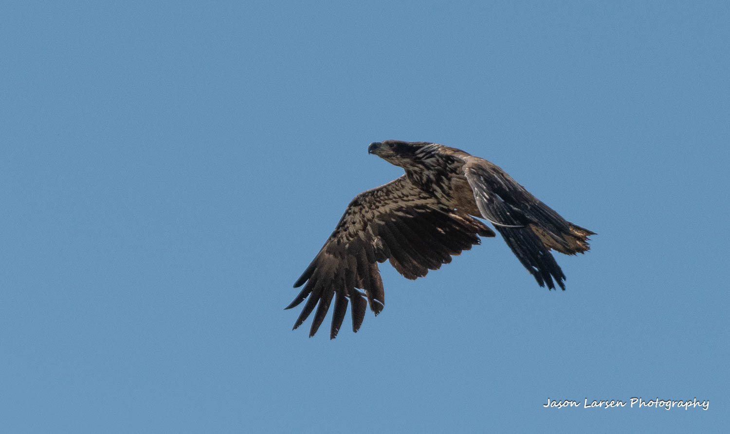 20260627-_DSC8101
