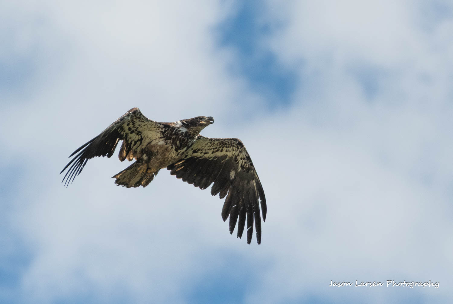 20260627-_DSC8123