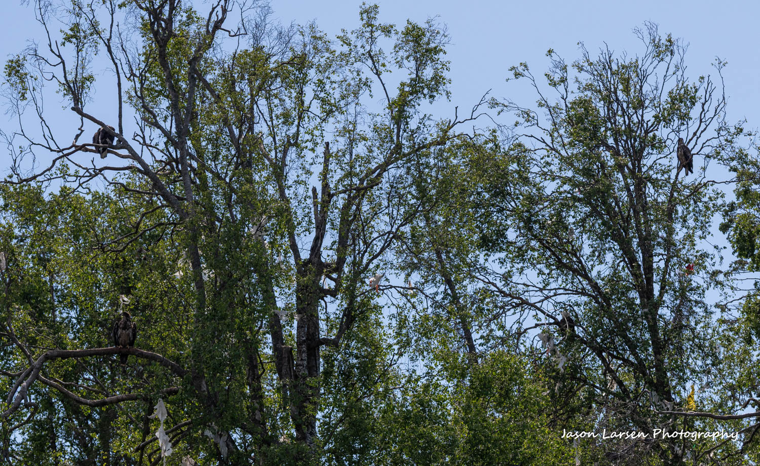 20260627-_DSC8158