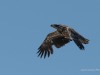 20260627-_DSC8101