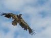 20260627-_DSC8120