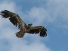 20260627-_DSC8121