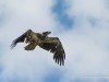 20260627-_DSC8123