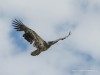 20260627-_DSC8124