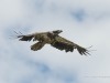 20260627-_DSC8125