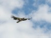20260627-_DSC8127