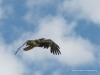 20260627-_DSC8128