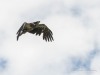20260627-_DSC8132