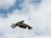 20260627-_DSC8134