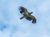 20260627-_DSC8141
