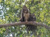 20260627-_DSC8150