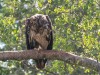 20260627-_DSC8163